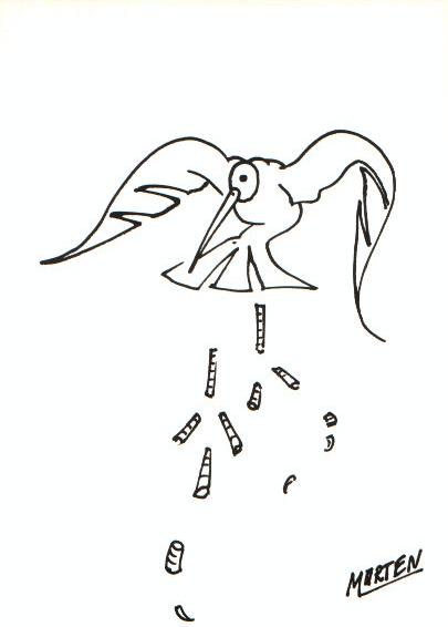 bird.jpg (17514 Byte)