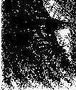 tmagicia.jpg (7048 Byte)