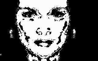 Mirface2.gif (3483 Byte)