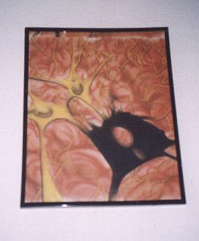 neuronet.jpg (14392 Byte)